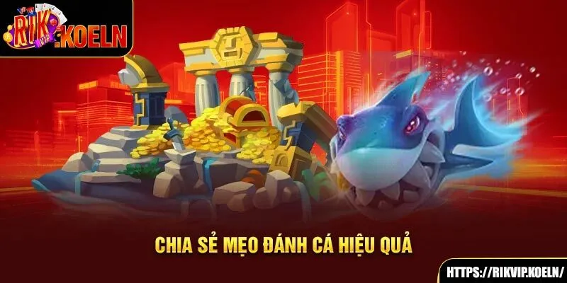Chia sẻ mẹo đánh cá hiệu quả Chia sẻ mẹo đánh cá hiệu quả