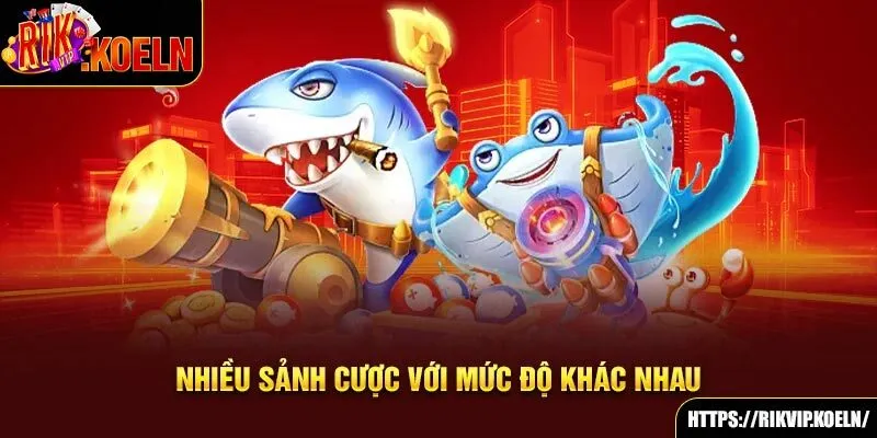 Nhiều sảnh cược với mức độ khác nhau Nhiều sảnh cược với mức độ khác nhau